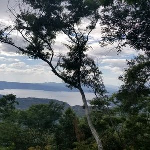 Meet your Posher, Liz